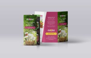 desiVdesi Leaflets Design